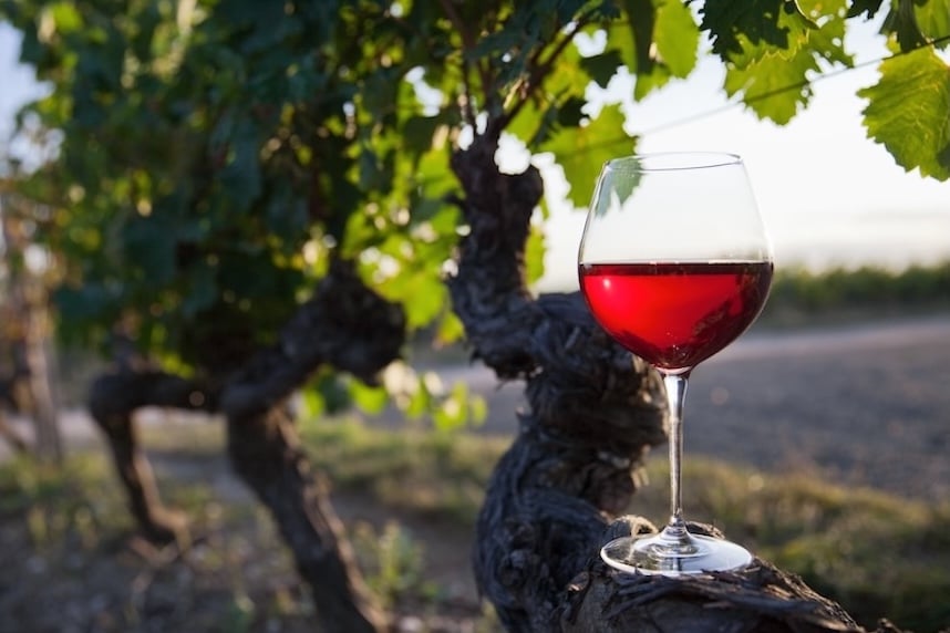 I migliori abbinamenti vino e brasato: la guida con i nostri consigli